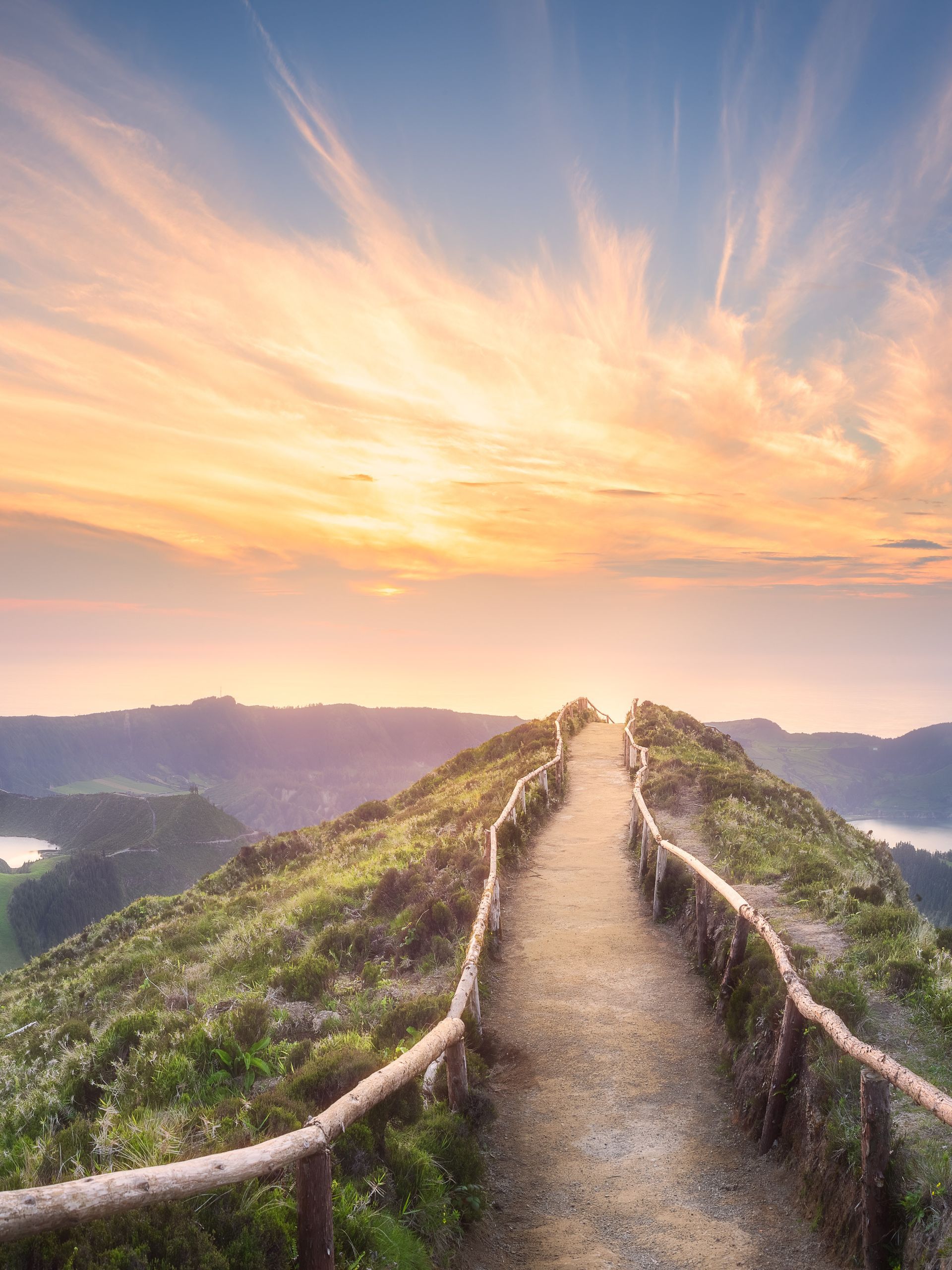 Un chemin dans la nature
