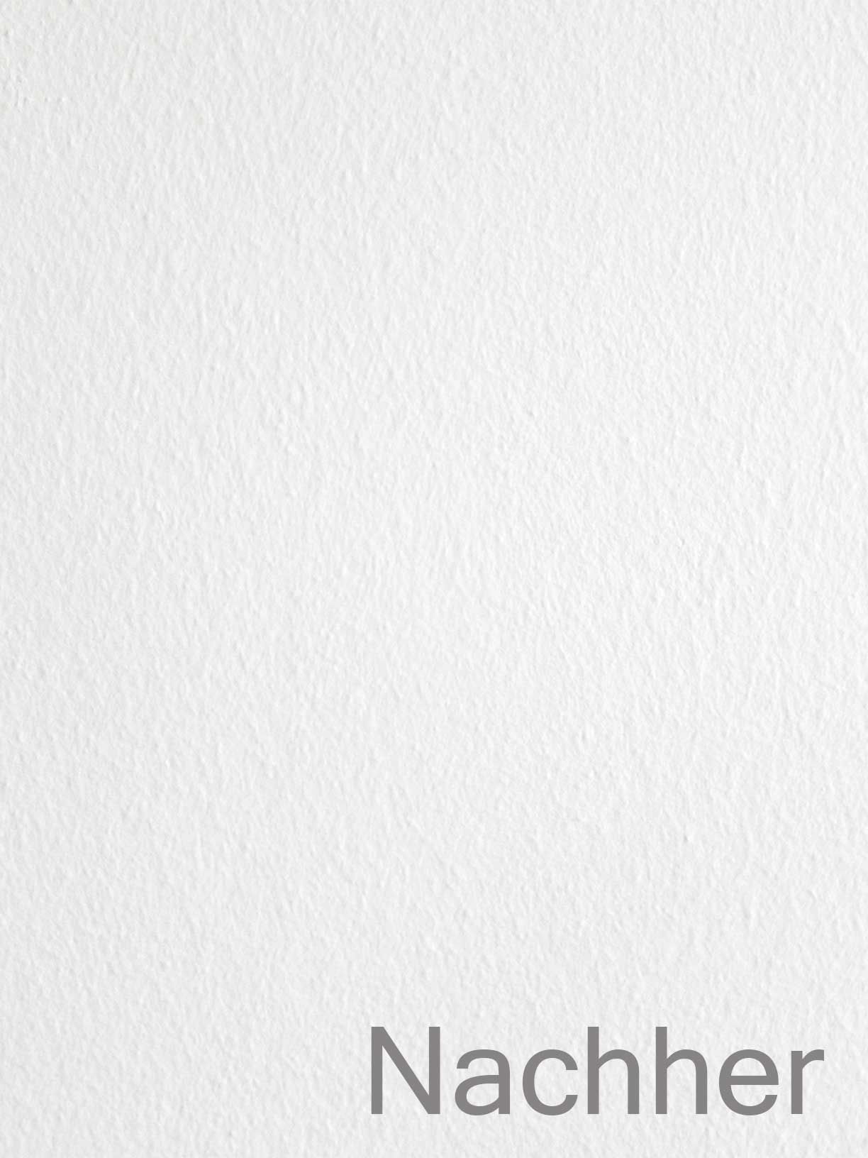 Malermeister Falter Schimmelpilzbeseitigung