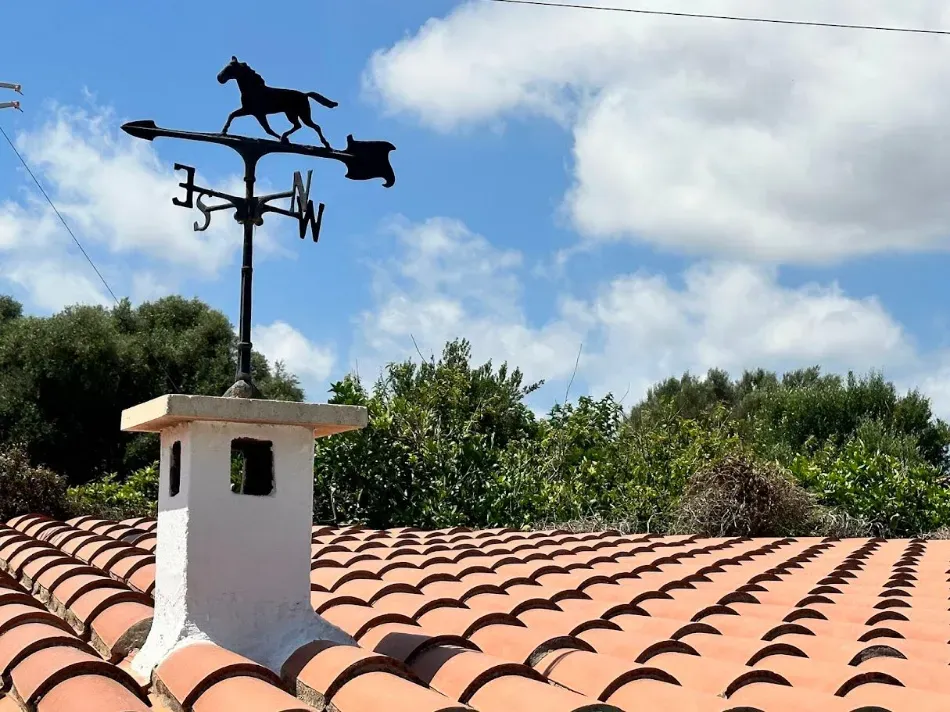 Veleta con forma de caballo negro en la chimenea de un tejado, sobre tejas de terracota roja y árboles bajo un cielo nublado.