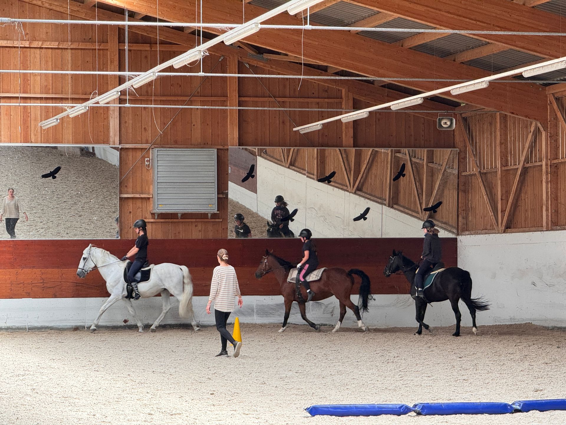 Reitstunden in Kaiseraugst, Aargau. Sissach