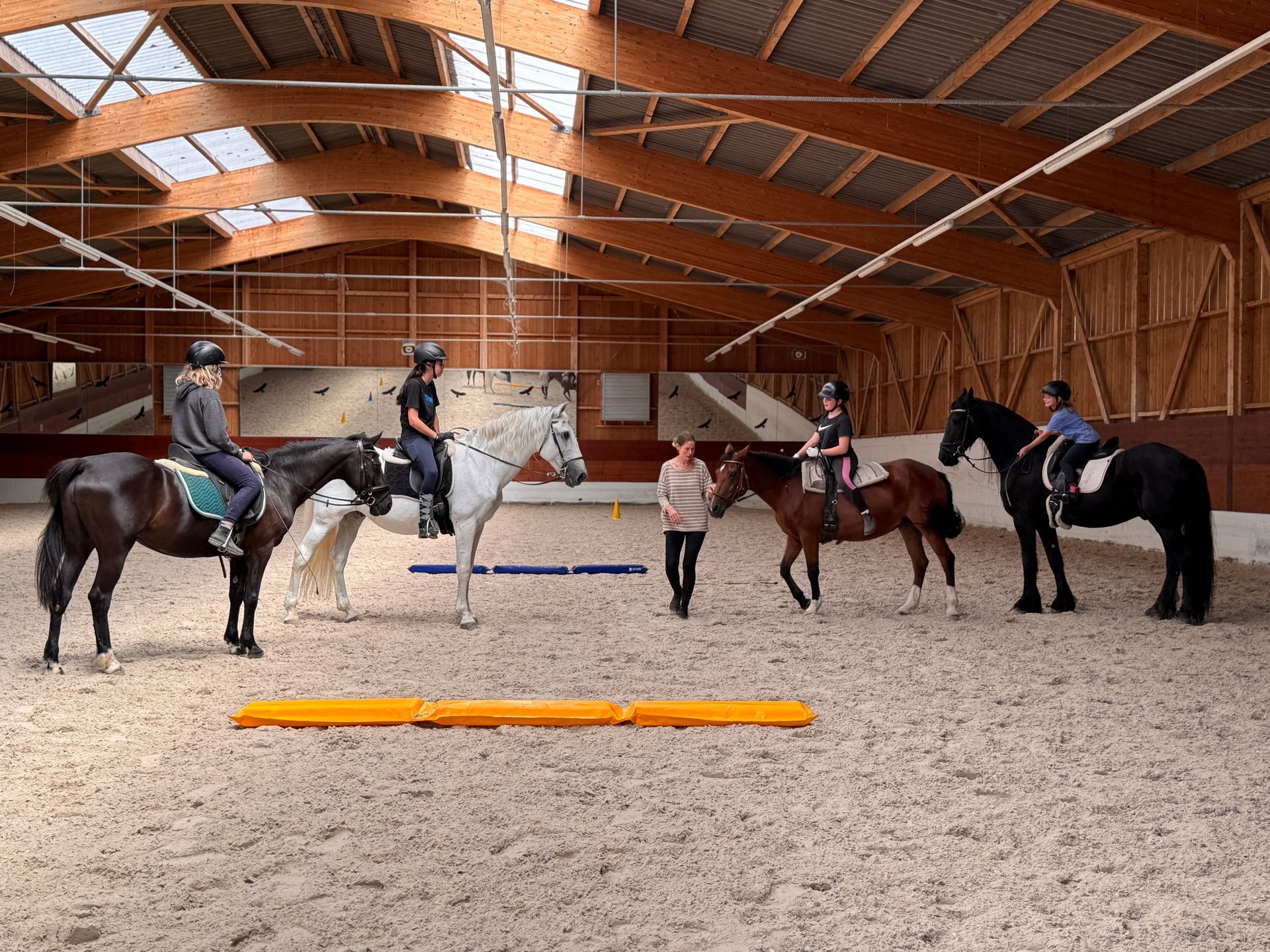 Reitstunden in Kaiseraugst, Aargau. Rheinfelden