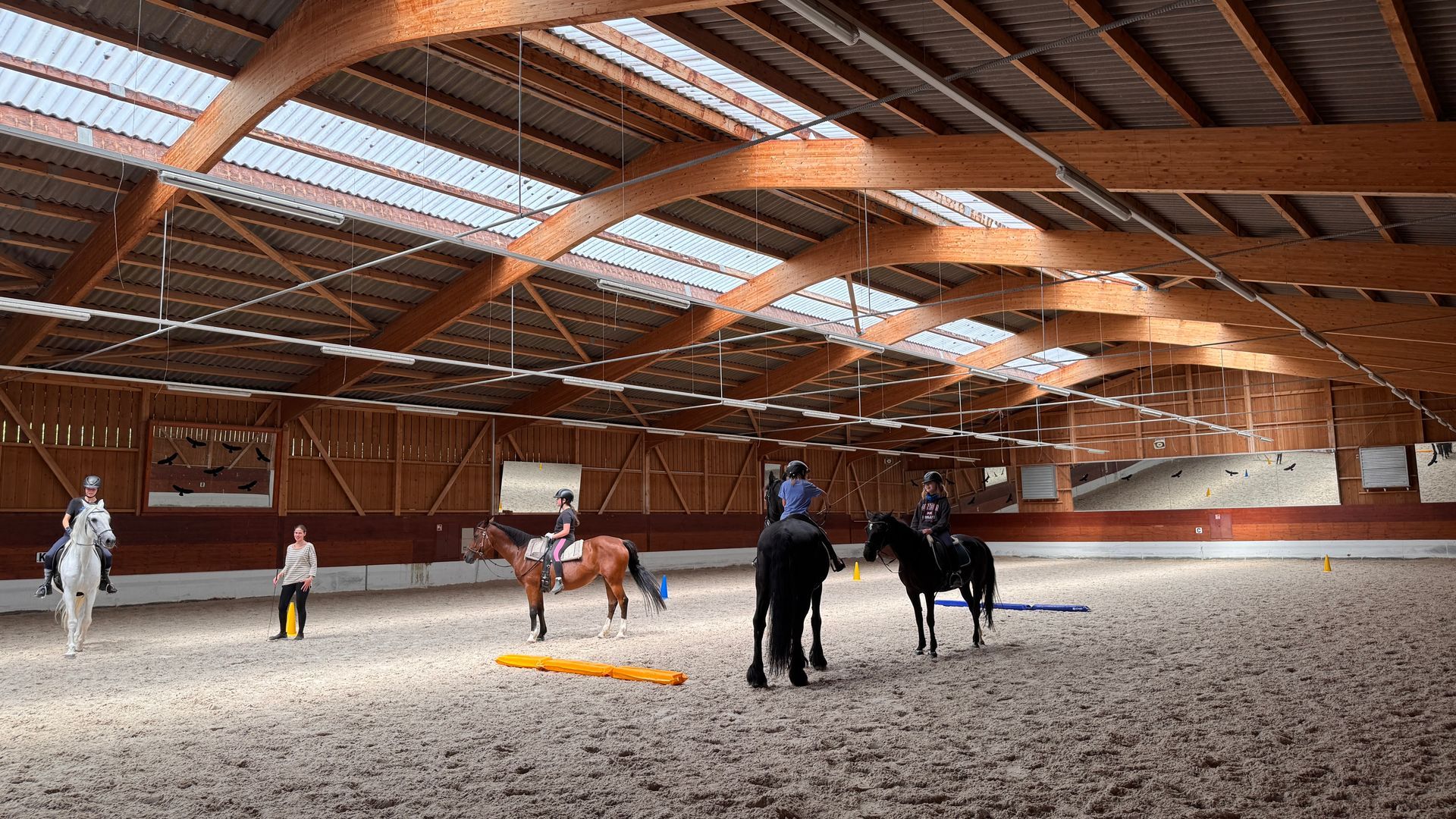 Reitstunden in Kaiseraugst, Aargau. Baselland