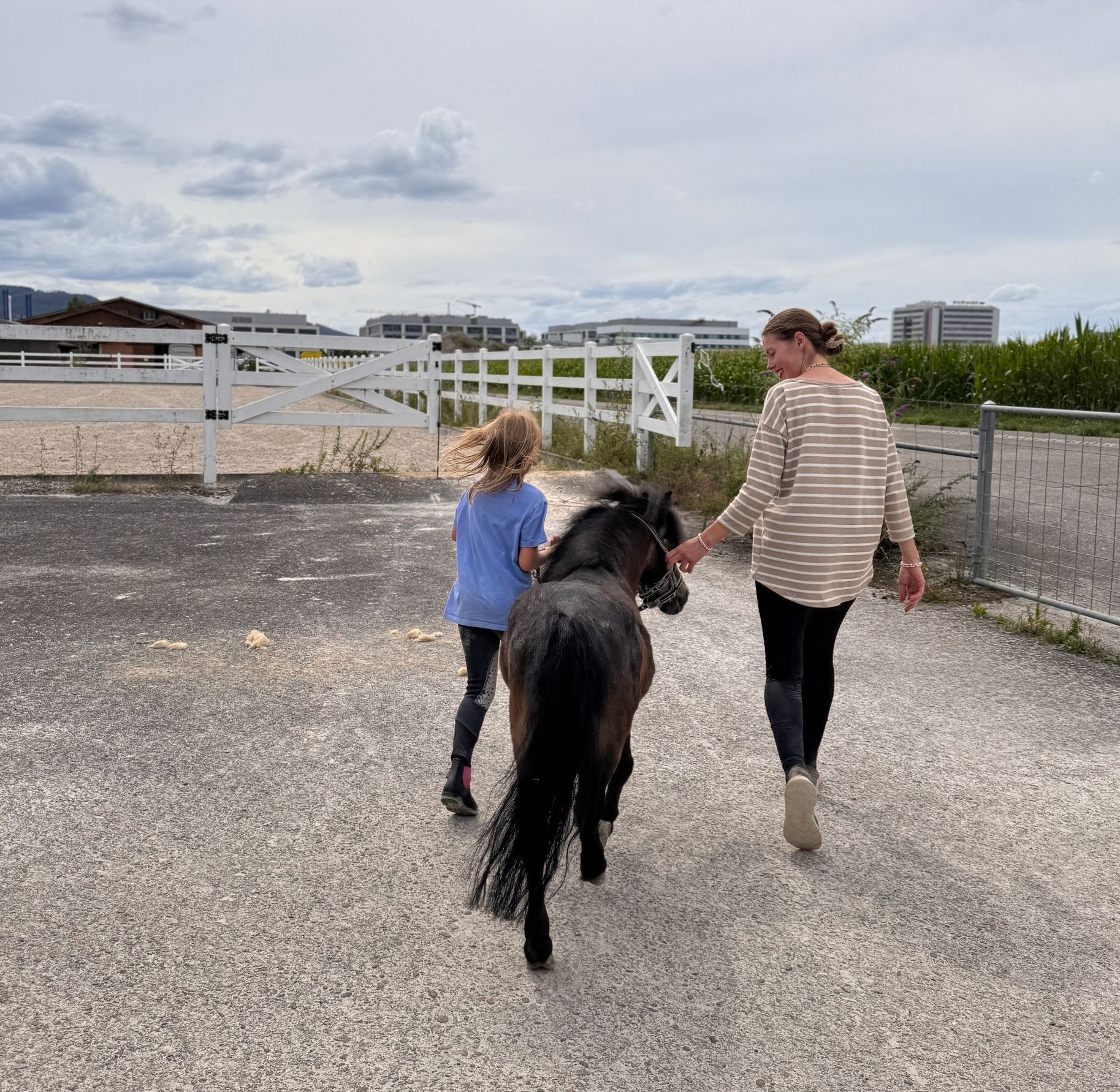 Dressurstall Gracia Kaiseraugst Aargau