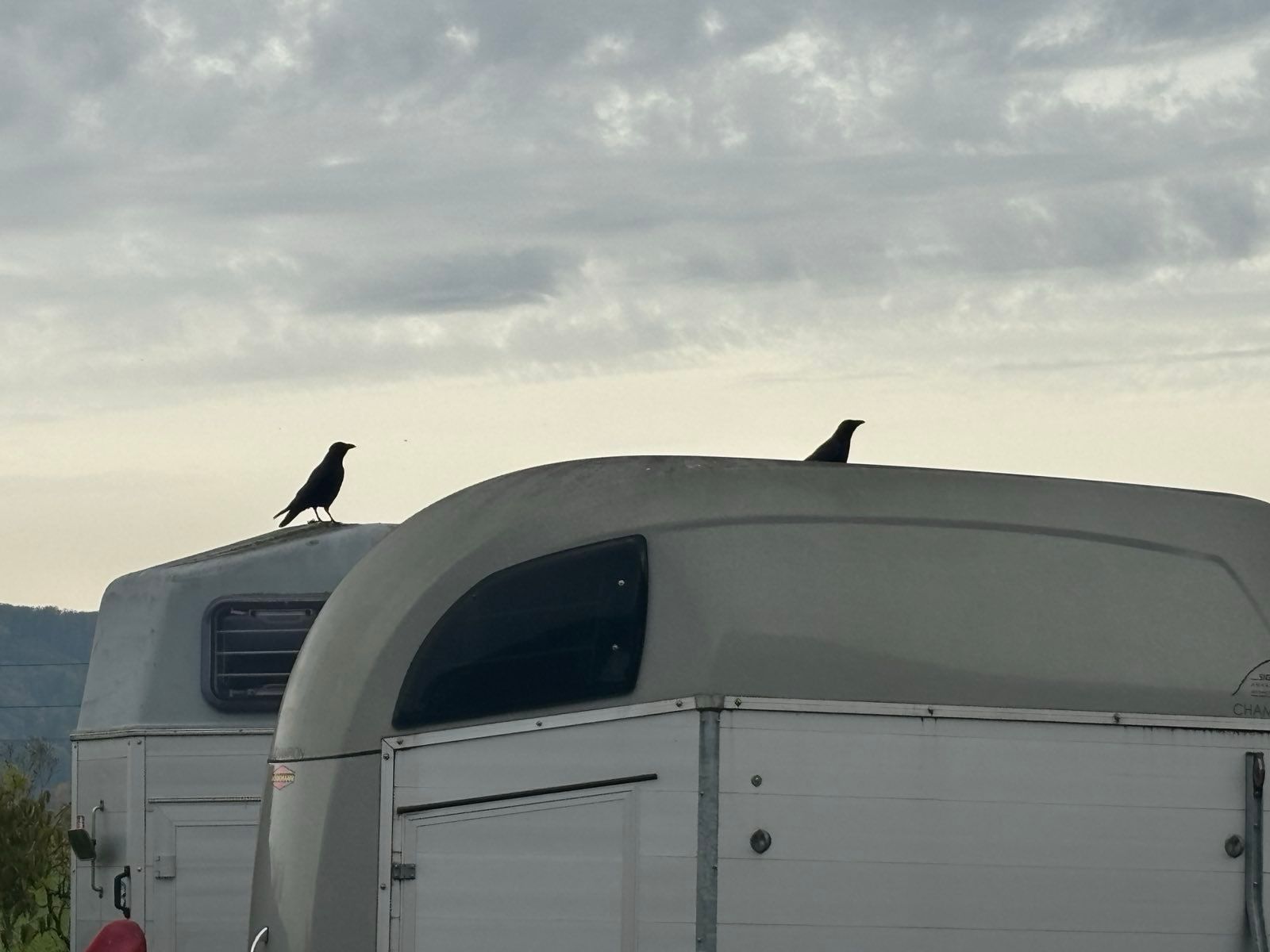 Dressurstall Gracia - Kaiseraugst