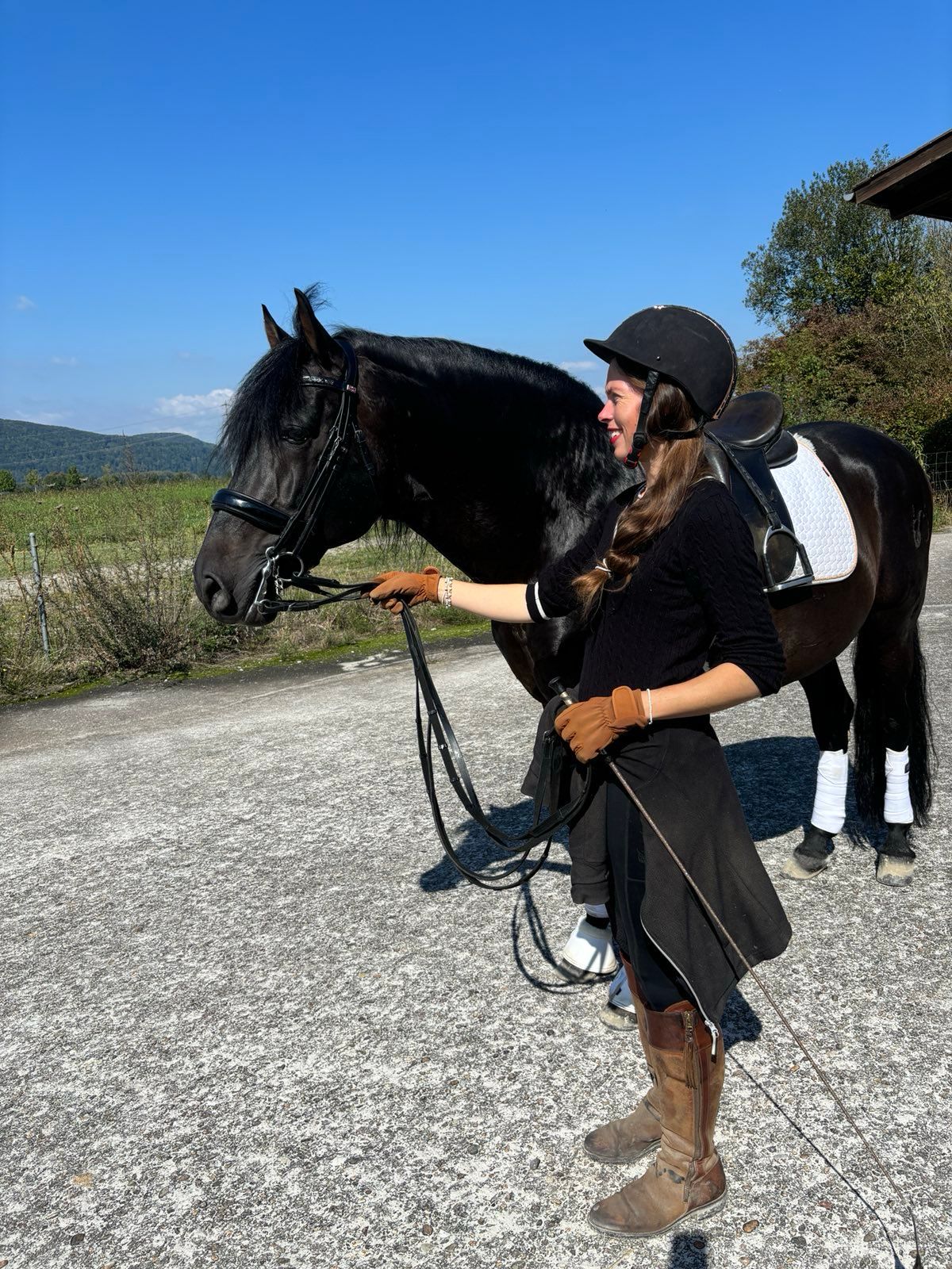 Beritt - Dressurstall Gracia - Kaiseraugst, Aargau | Baselland