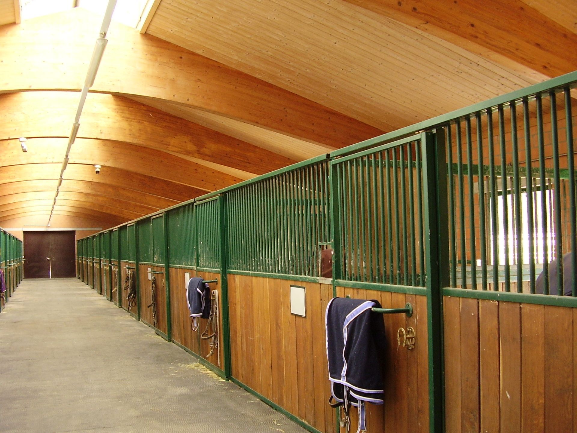 Dressurstall Gracia – Reitstunden & Pferdetraining. Beritt, Bodenarbeit & Seminare in Basel, Pratteln, Liestal & Rheinfelden.