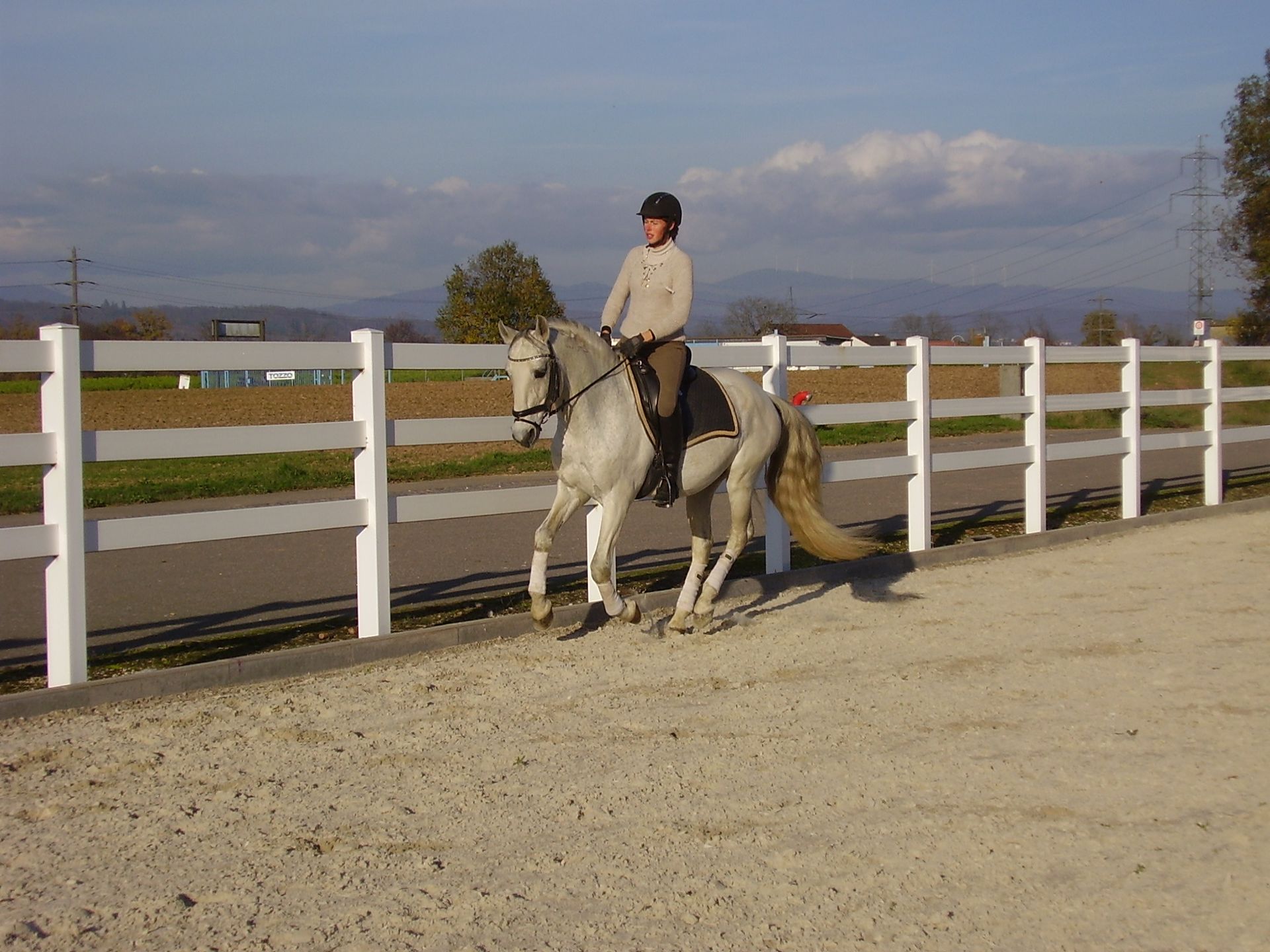 Reitstunden in Kaiseraugst, Dressurstall Gracia