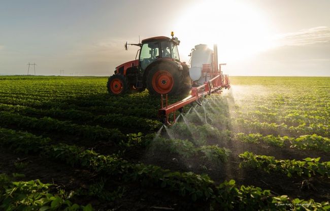 Ein Traktor besprüht bei Sonnenuntergang ein sonniges, grünes Feld mit Pflanzenschutzmitteln.