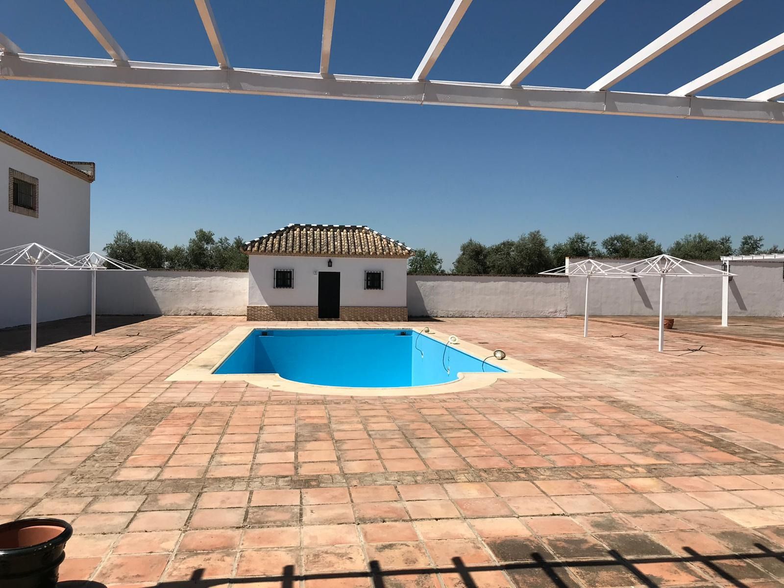 Una gran piscina con un edificio blanco al fondo.