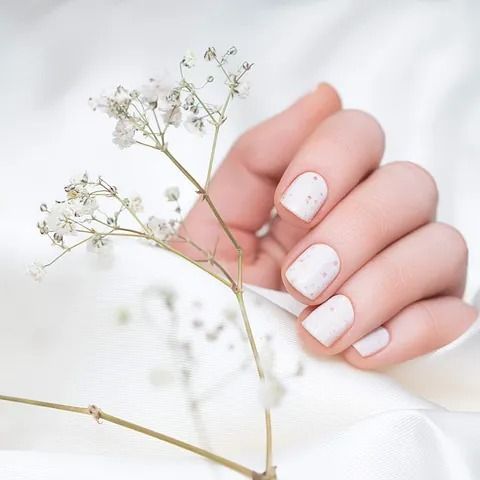 La mano de una mujer con uñas blancas sostiene una flor.