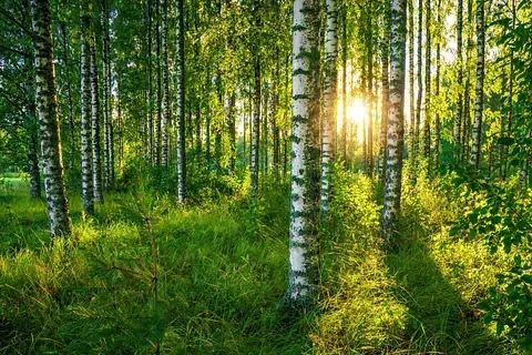 Lakiasiaintoimisto Maiju Haataja Oy