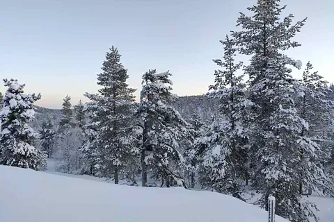 Lakiasiaintoimisto Maiju Haataja Oy