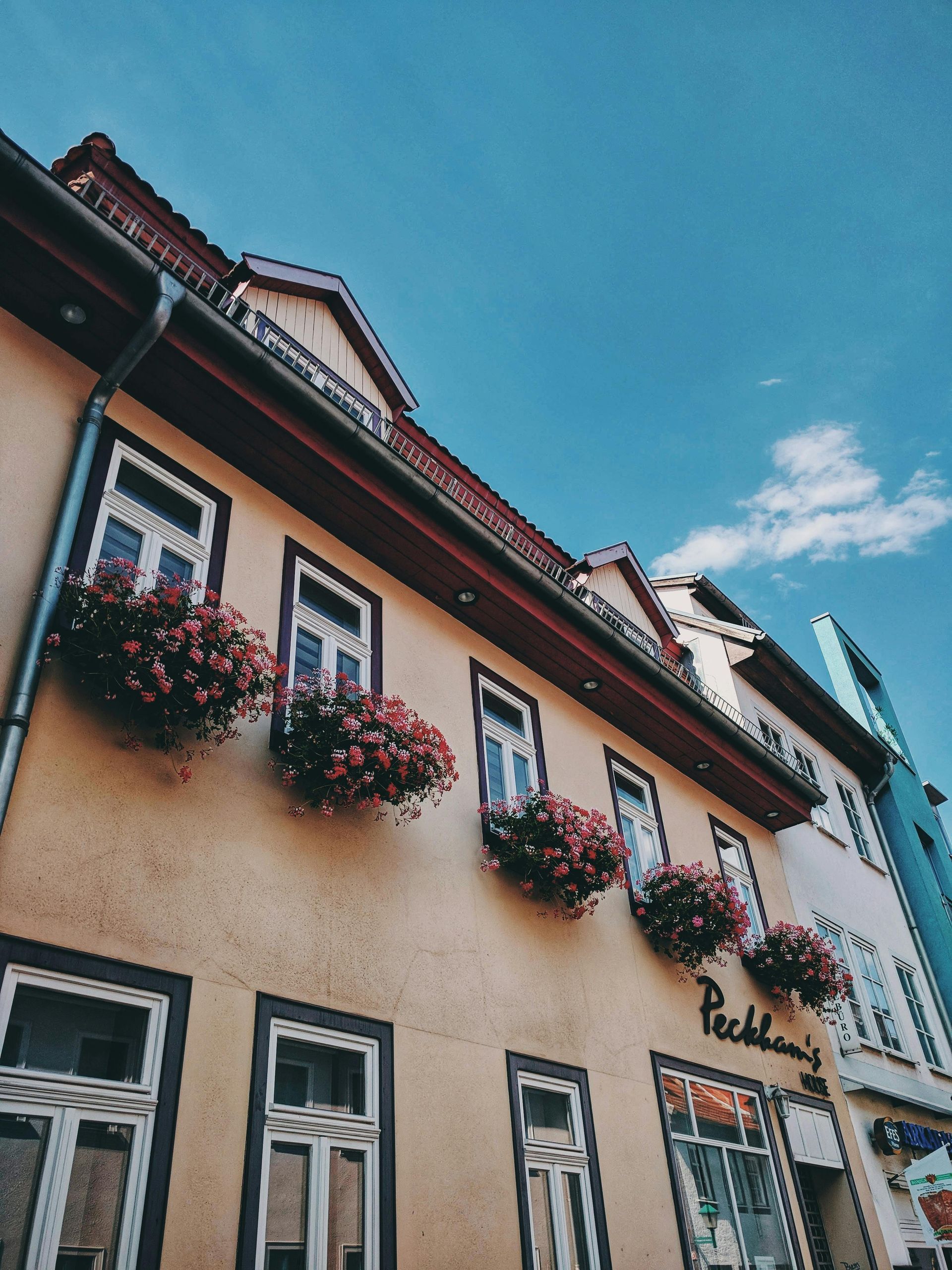 Blick nach oben auf ein Gebäude mit Blumen in den Fenstern