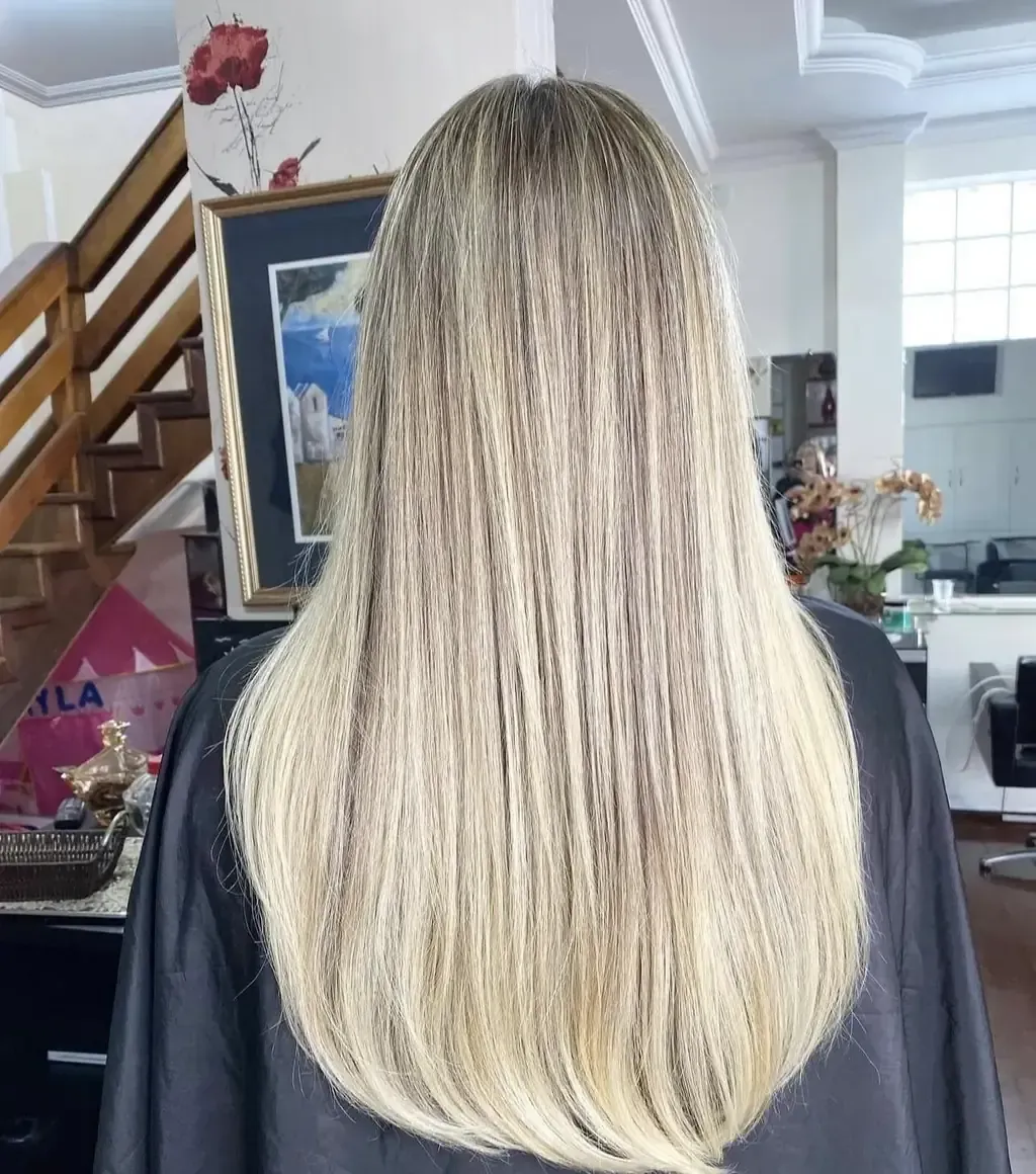 Cabello rubio y liso, peinado y mostrado de espaldas. Sentada en un salón.