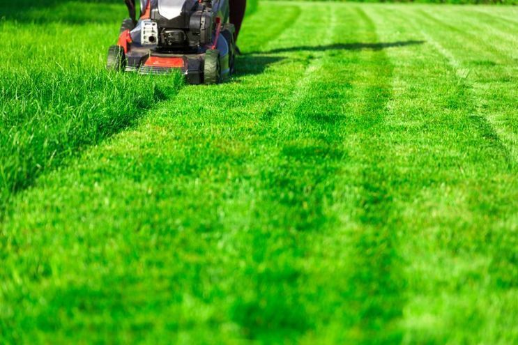 Rasenunterhalt