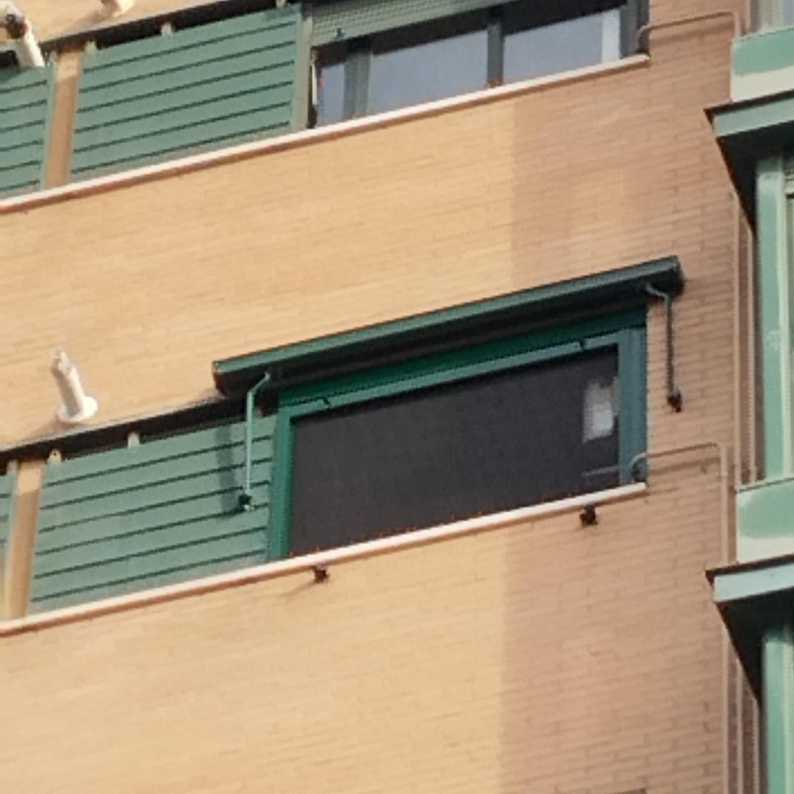 Exterior del edificio con contraventanas verdes y revestimiento de ventanas oscuro sobre una pared de ladrillo.
