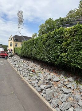 Haus mit Garten und hoher Hecke Haus mit Garten und hoher Hecke, grünes Umfeld unter leicht bewölktem Himmel