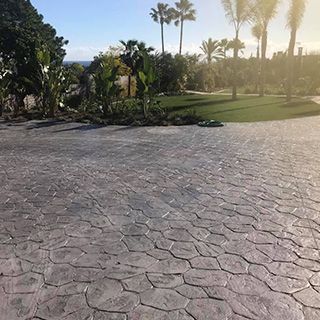 Un camino de entrada de hormigón con palmeras al fondo.