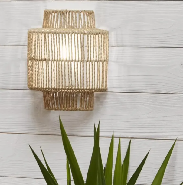 Plante verte en dessous d'une applique murale