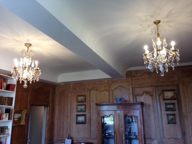 Pièce avec des murs en bois et des plafonniers