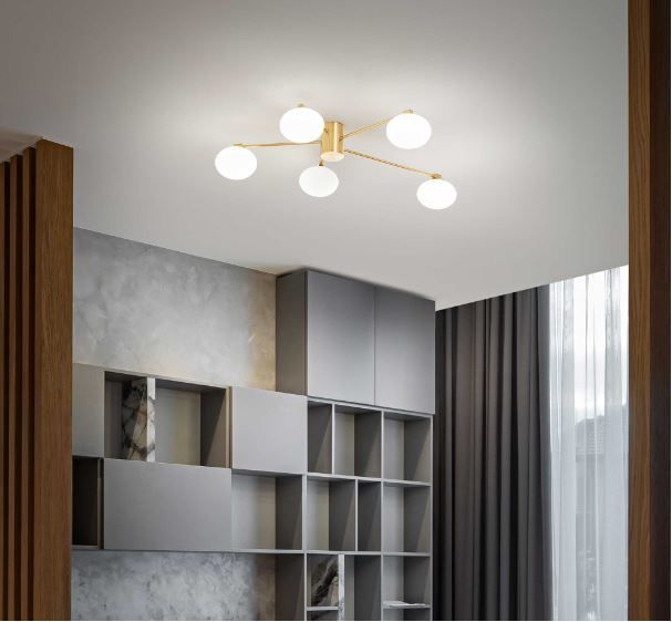 Plante Monstrera avec une suspension à côté