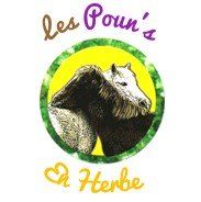 Logo Les Poun's en Herbe