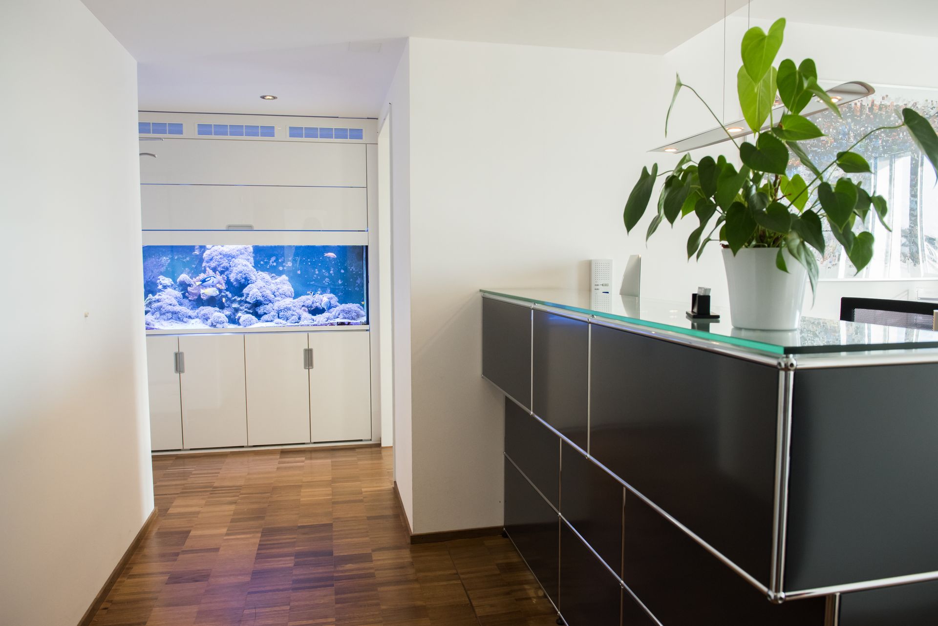 Augenarztpraxis am See AG - Empfang Augenarzt