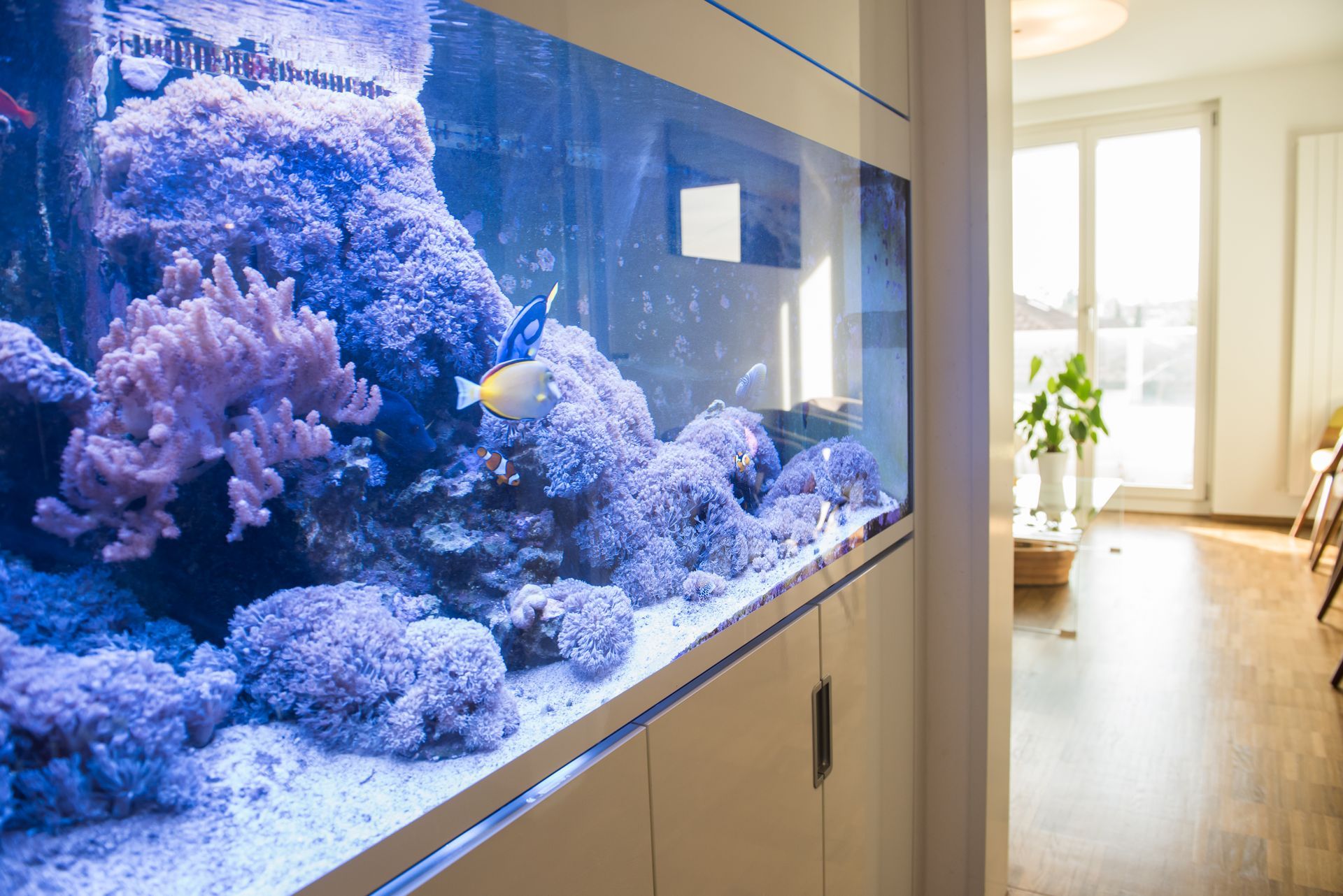 Augenarztpraxis am See AG - Empfang Augenarzt