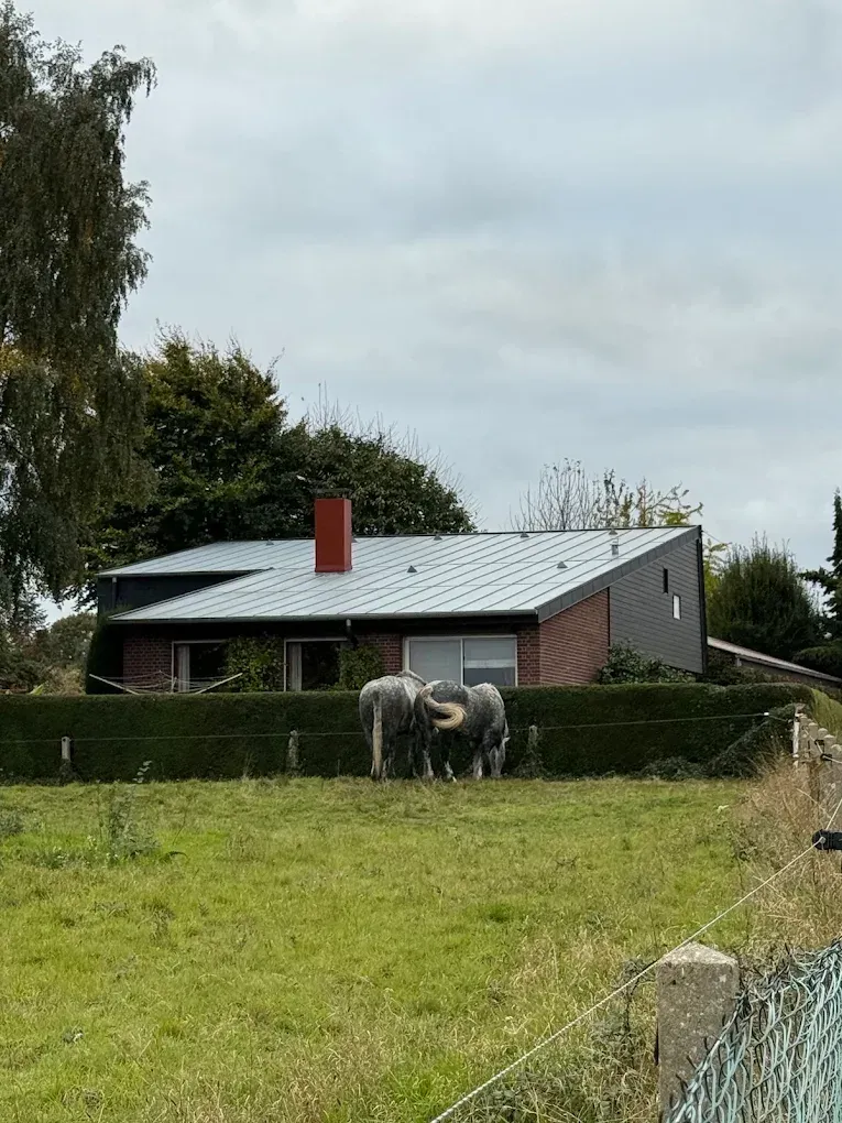 Une maison au toit rouge derrière un champ herbeux où paissent deux moutons près d'une clôture.