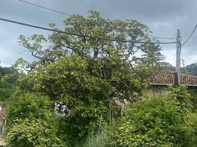 Suelo urbano en Limpias