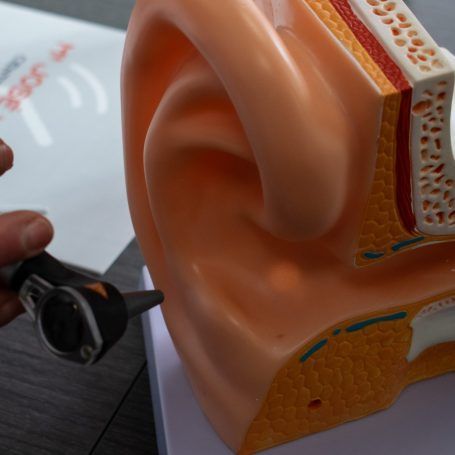 Una persona está examinando un modelo de oído con un otoscopio.