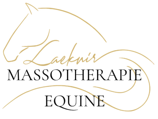 Un dessin de la tête et de la queue d'un cheval avec le mot laeknir écrit en dessous.