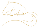 Un dessin de la tête et de la queue d'un cheval avec le mot laeknir écrit en dessous.