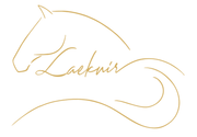 Un dessin de la tête et de la queue d'un cheval avec le mot laeknir écrit en dessous.