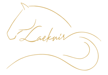 Un dessin de la tête et de la queue d'un cheval avec le mot laeknir écrit en dessous.
