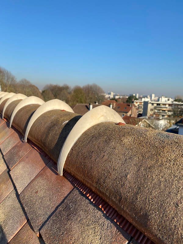 Gros plan sur les tuiles d'une toiture