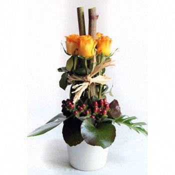 Arrangement C-32 - Fleuriste Roseraie