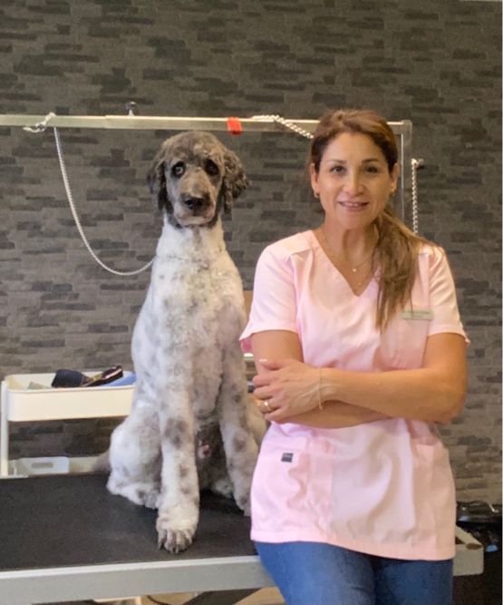 Tierpflege - Altdorf UR - Patty's Hundesalon