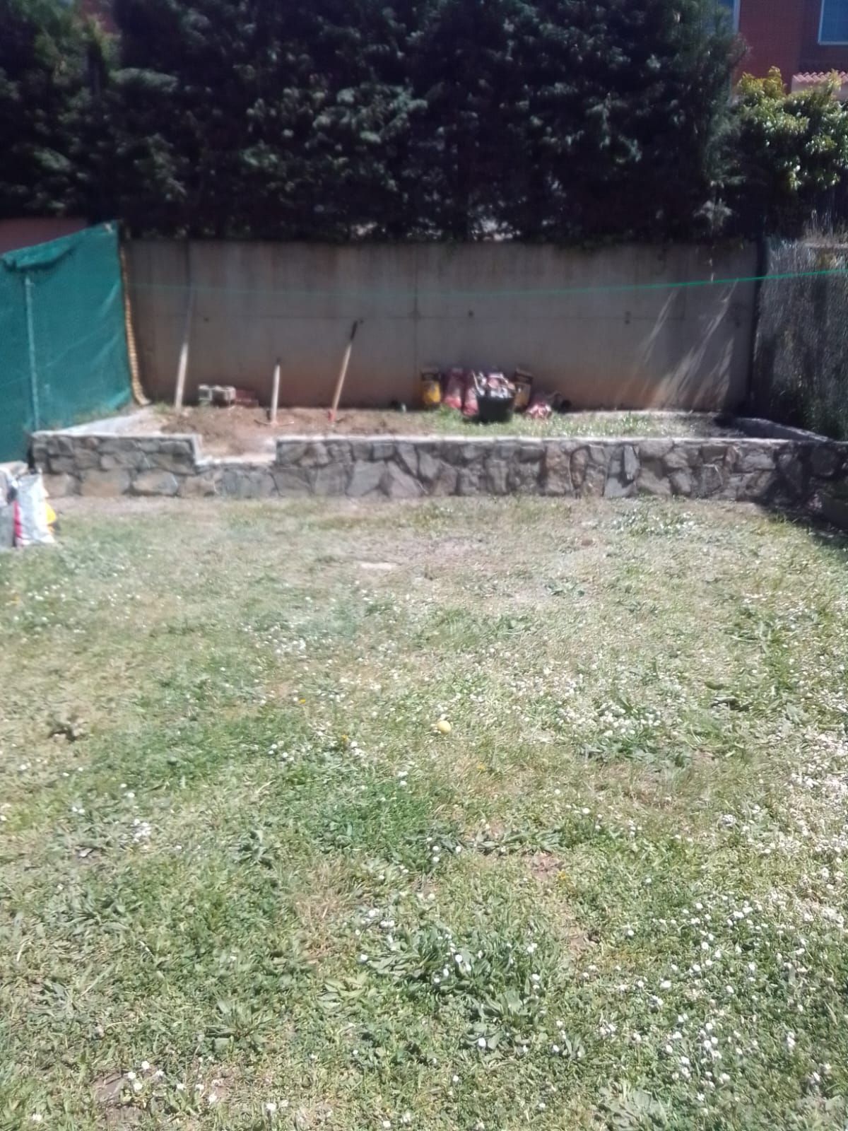 Un césped verde exuberante con un muro de piedra al fondo.