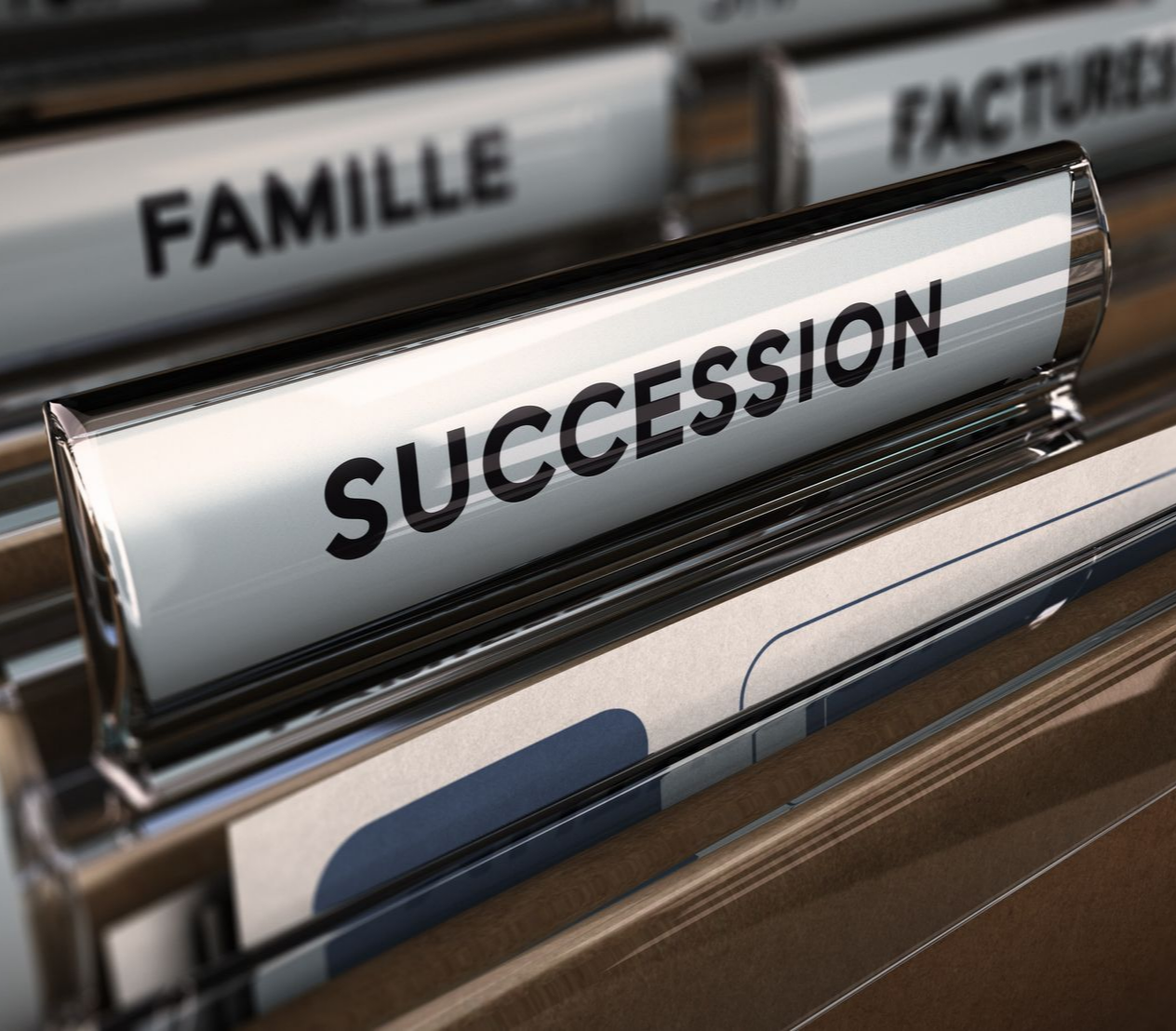 Plusieurs dossiers juridiques : famille, factures, succession.