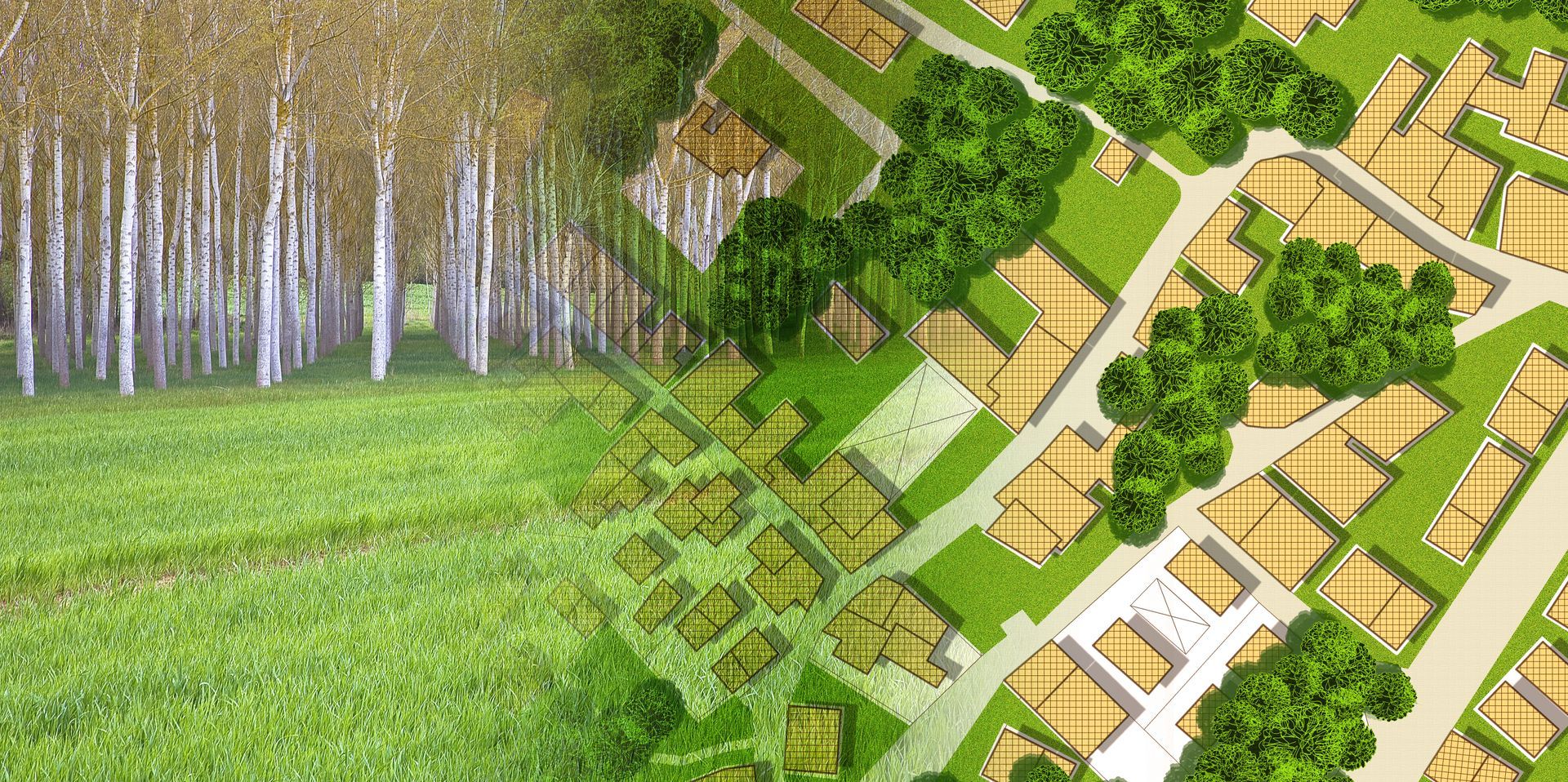 Plan d'extérieur pour un aménagement paysager