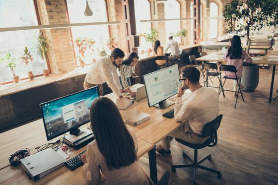 Vue en plongée de collègues travaillant sur des ordinateurs dans un bureau ensoleillé à aire ouverte, avec des bureaux en bois et des murs en briques.