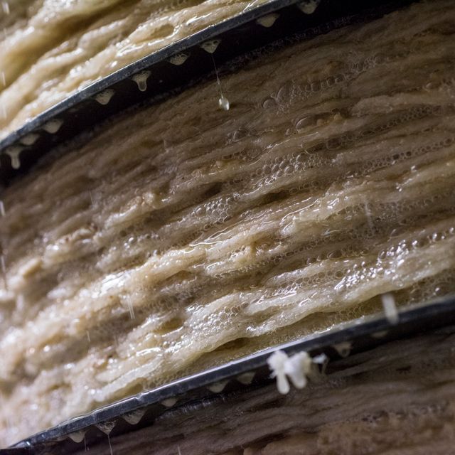 Un primer plano de un trozo de madera con algunos agujeros.