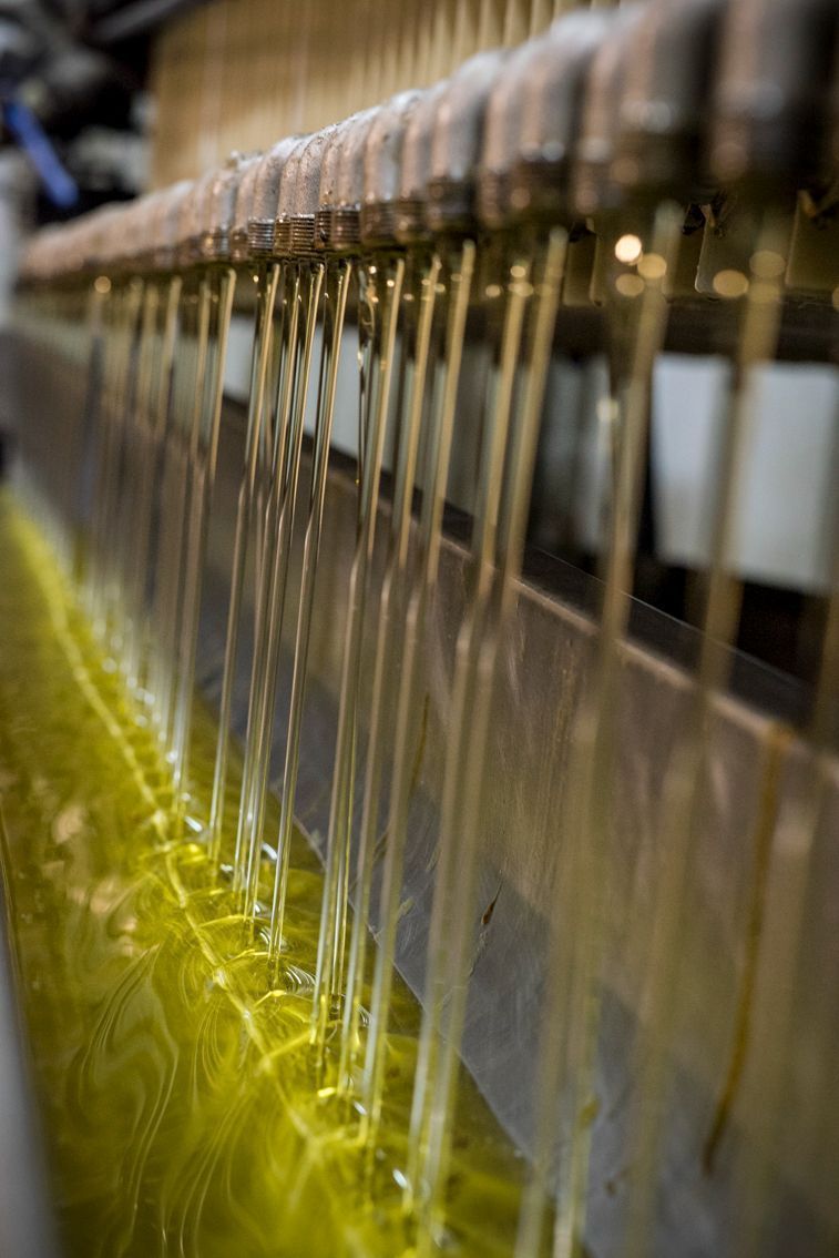 Una fila de botellas llenas de líquido se vierten en un tanque.