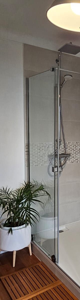 Une cabine de douche avec porte vitrée, à côté d'une plante