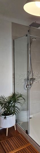 Une cabine de douche avec porte vitrée, à côté d'une plante