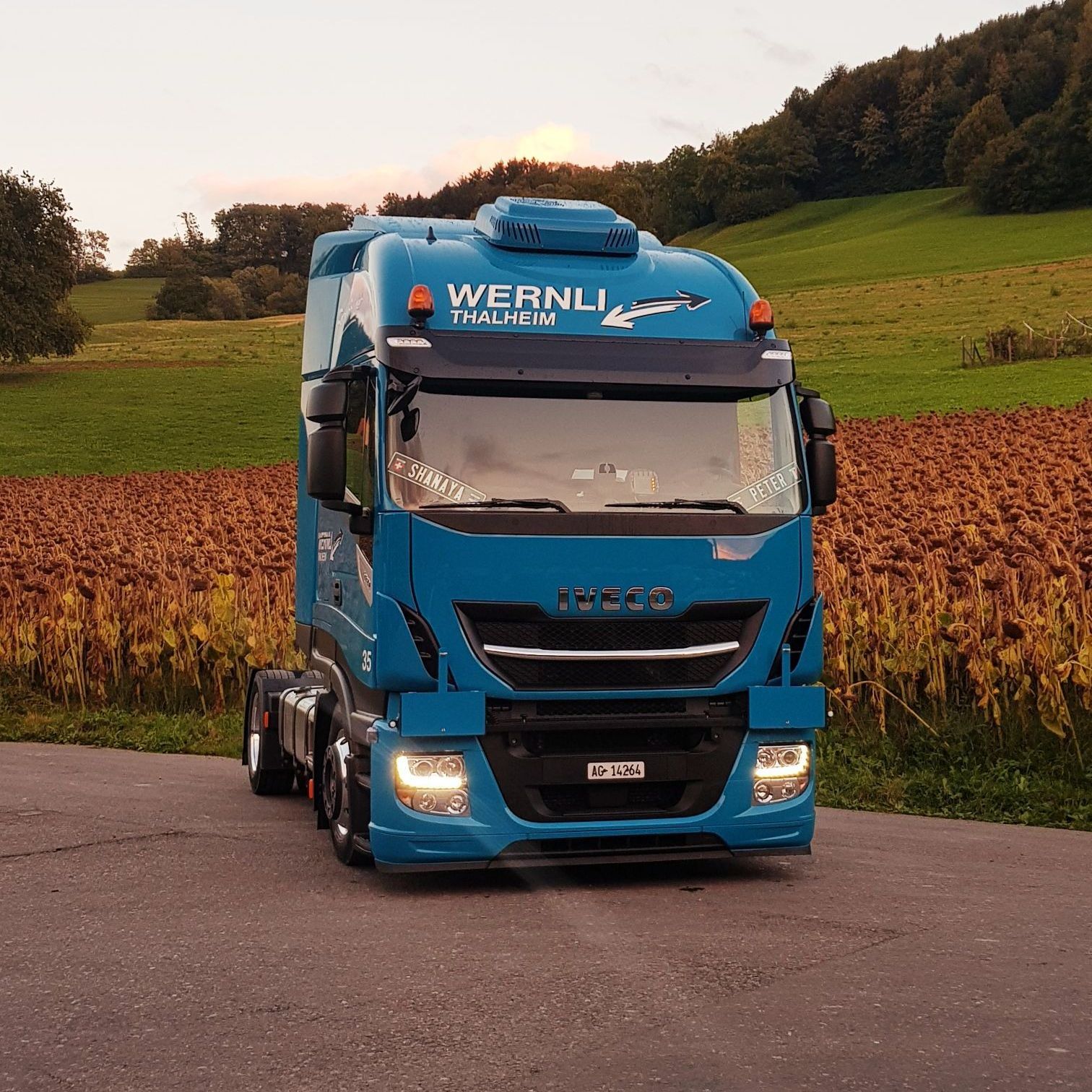 Transporte - Wernli Trans GmbH – Thalheim AG