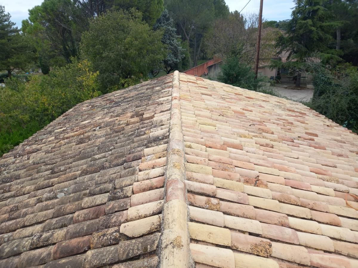 Tuiles de toit, à moitié nettoyées, présentant un contraste de couleur et de texture avec les arbres environnants.