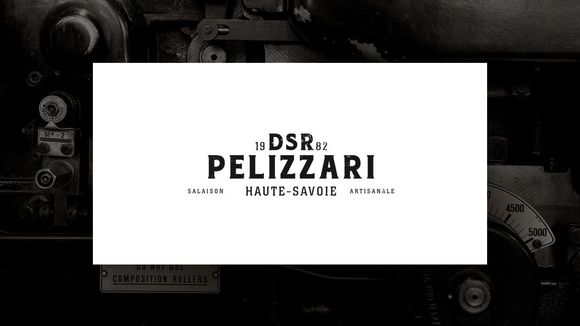 Logo DSR 2.jpg