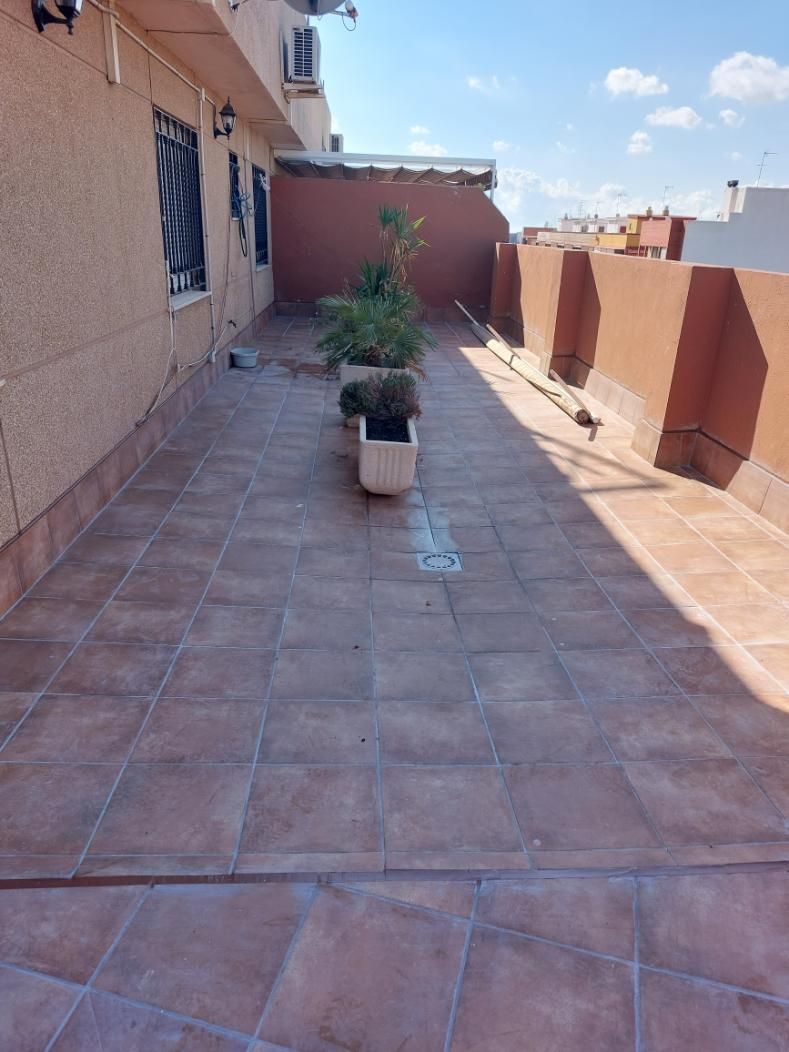 Terraza con suelo de baldosas marrones, paredes marrones y una planta en maceta blanca. Un espacio exterior soleado.